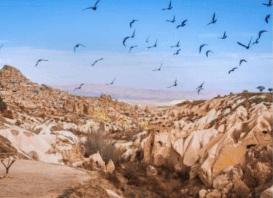 Discover Cappadocia in Turkey